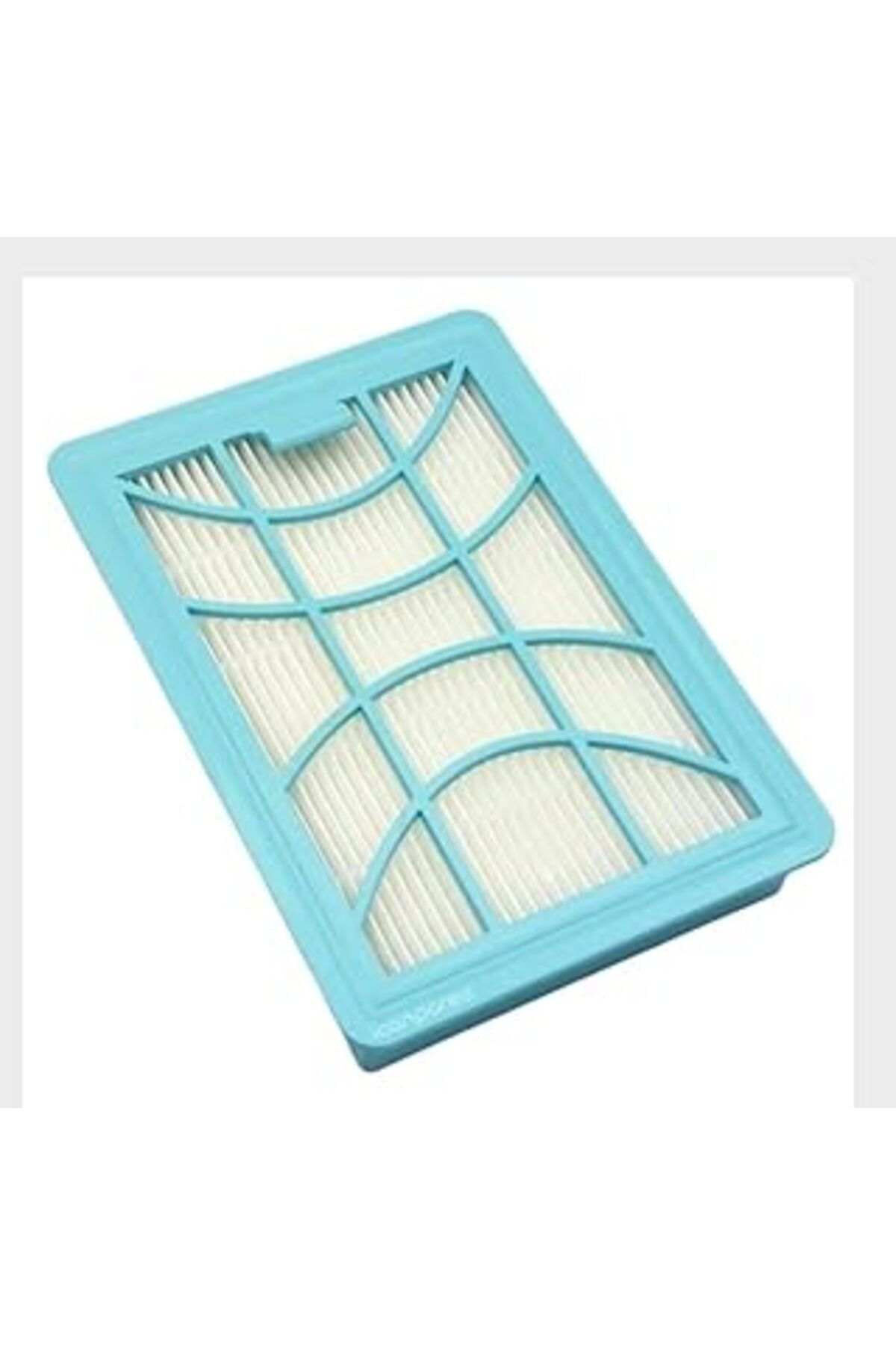 ASİTAN Elektrikli Süpürge Hepa Filtre - Mavi - Yeşil Plastik - 2 Adet - Philips Fc9750 Daily - Model