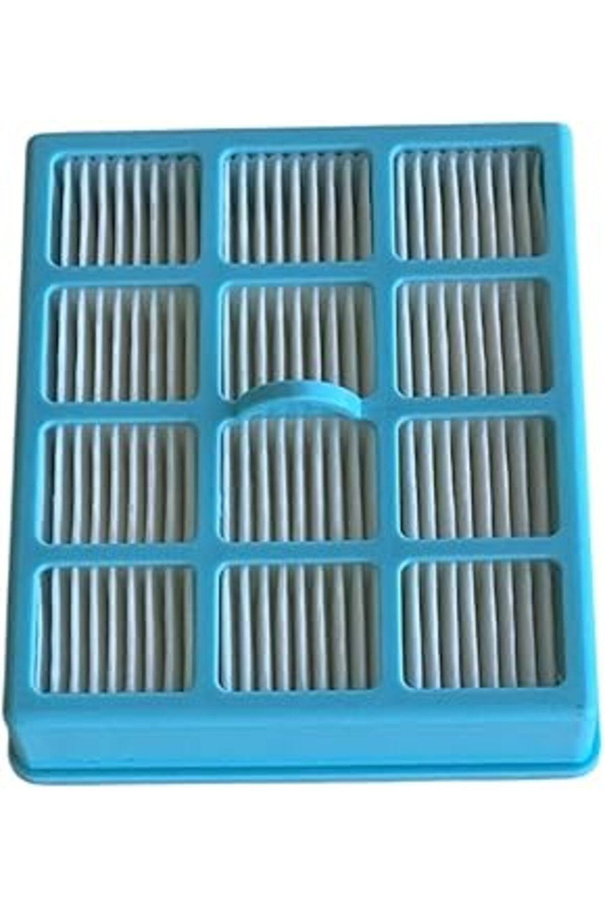 ASİTAN Elektrikli Süpürge Çikiş Hepa Filtre - Mavi Plastik - 2 Adet - Philips Fc8130 Easy Life - Mod