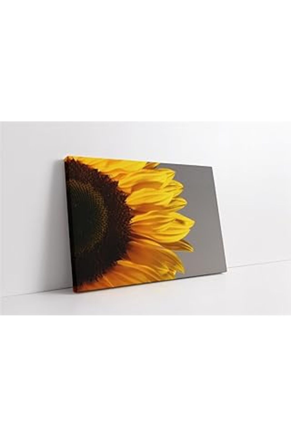Pazarcan Tablosan Vazoda Çiçek Dalları Kanvas Tablo 60X90 Cm Ka03200