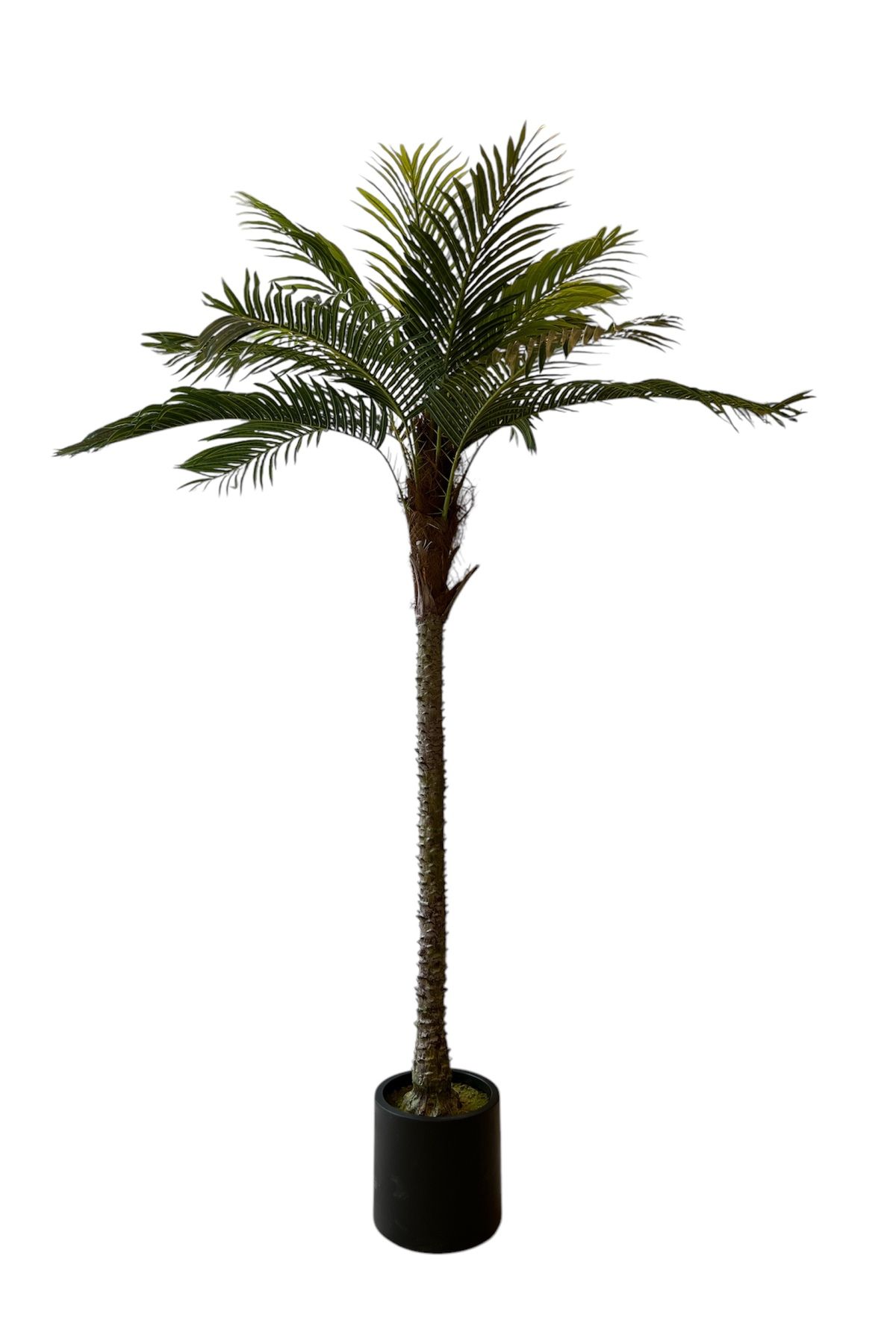 Generic-Artificial palm tree 1 x 2 m 1