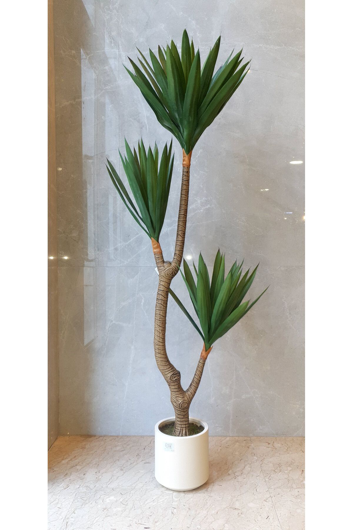Generic-Agfa Cactus Artificial Tree 1.40m 3