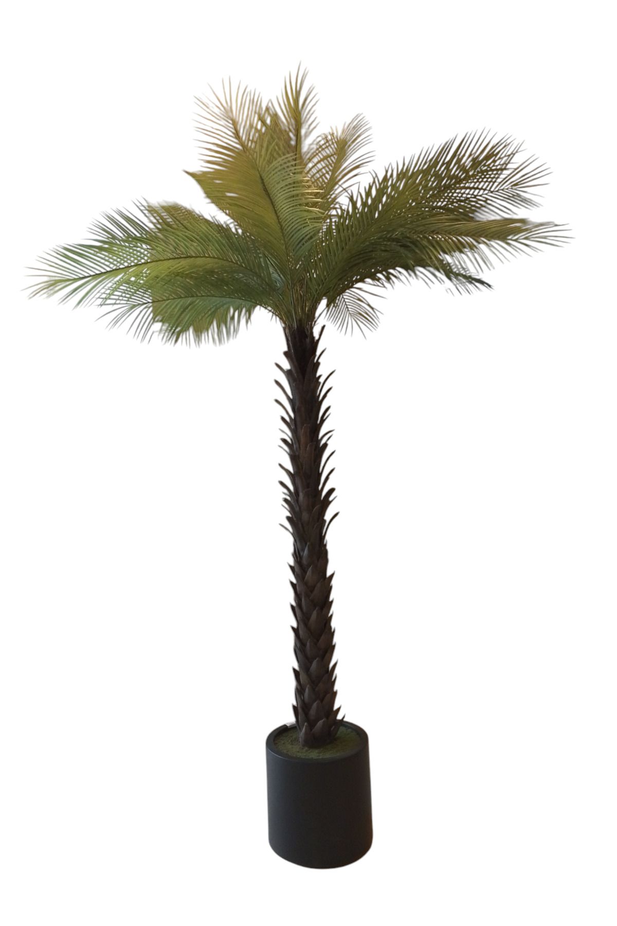 Generic-2.1m artificial palm trees 1