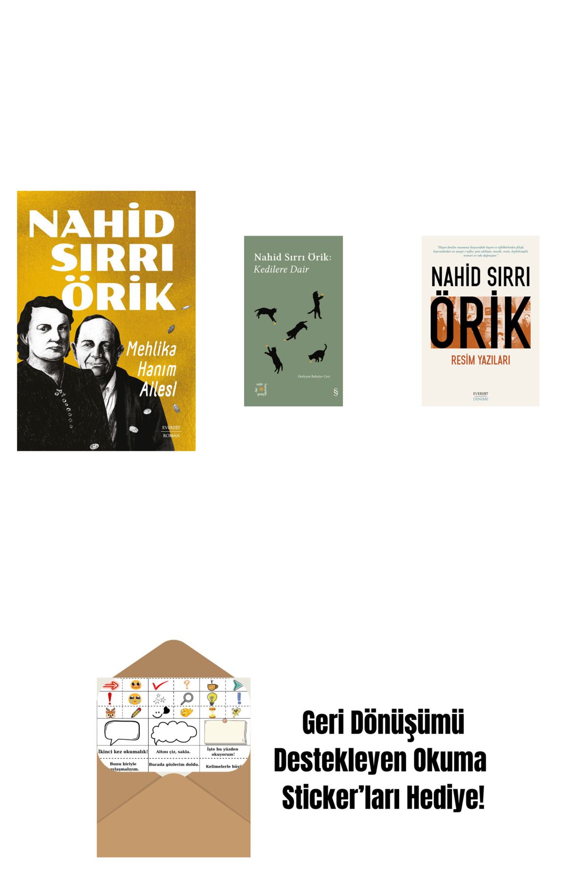 Everest Yayınları Mehlika Hanım Ailesi + Everest Açıkhava 29 - Kedilere Dair + Resim Yazıları + Okuma Sticker'ları