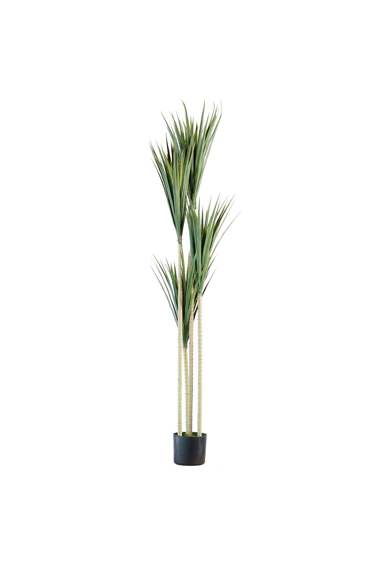 Generic-1.7m Artificial Yucca Tree 1