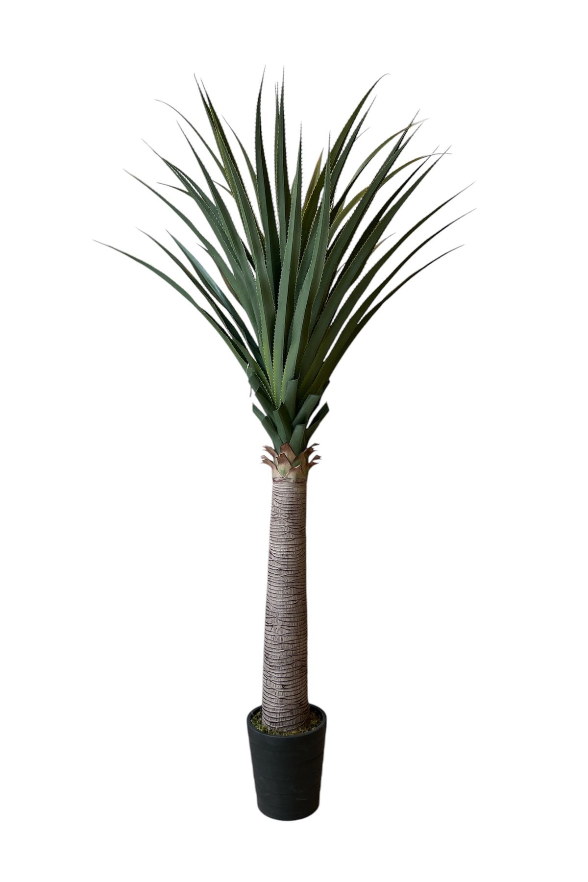 Generic-2.1m high artificial cactus tree 1