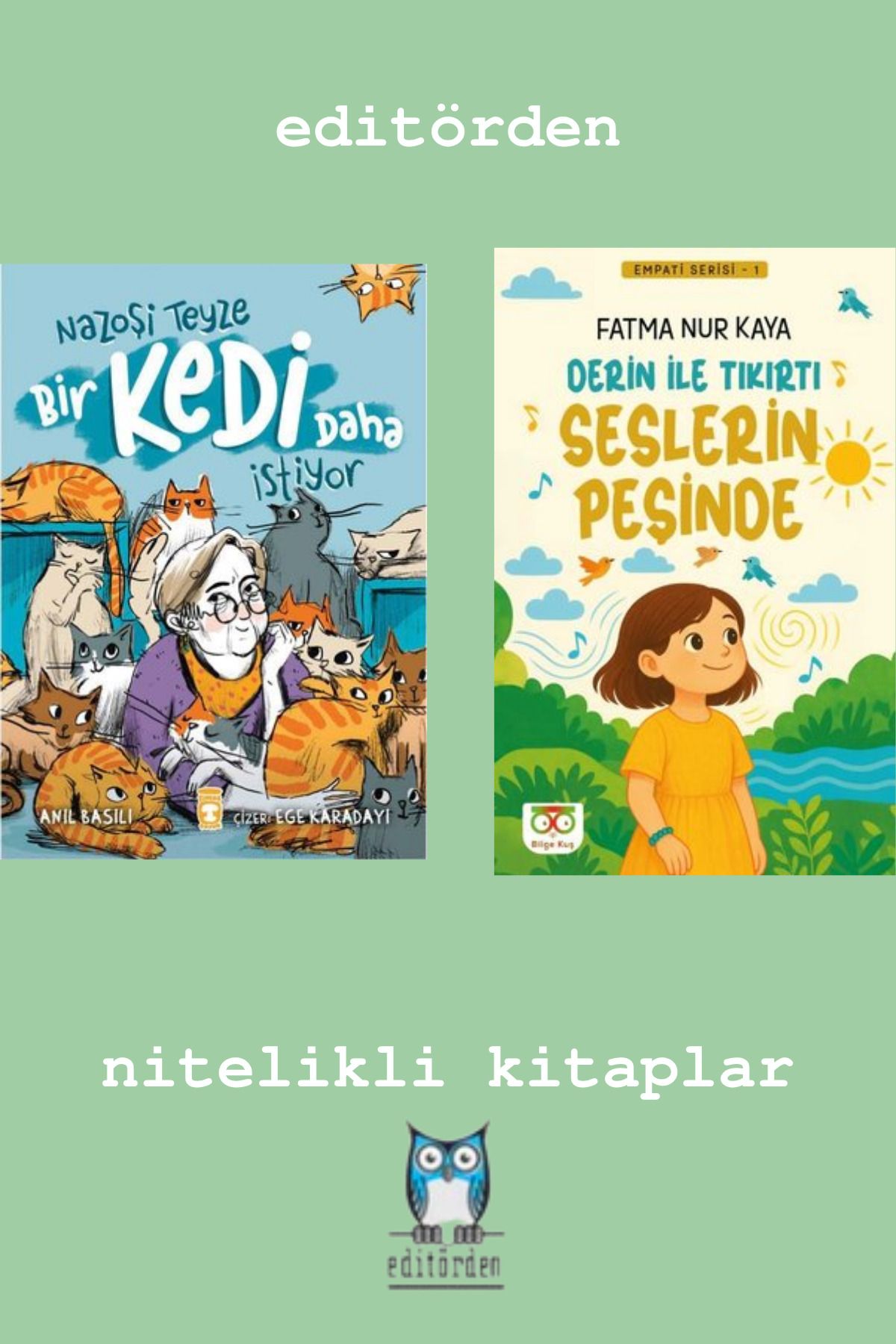 Bilge Kuş Yayınları Nazoşi Teyze Bir Kedi Daha İstiyor - Derin İle Tıkırtı Seslerin Peşinde