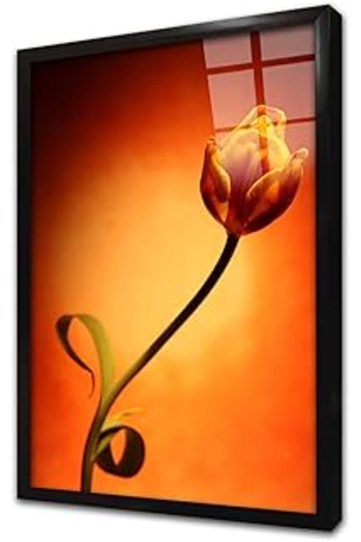 Pazarcan Kırmızı Gül Çerçeveli Cam Tablo 60X90 Cm Ca03412