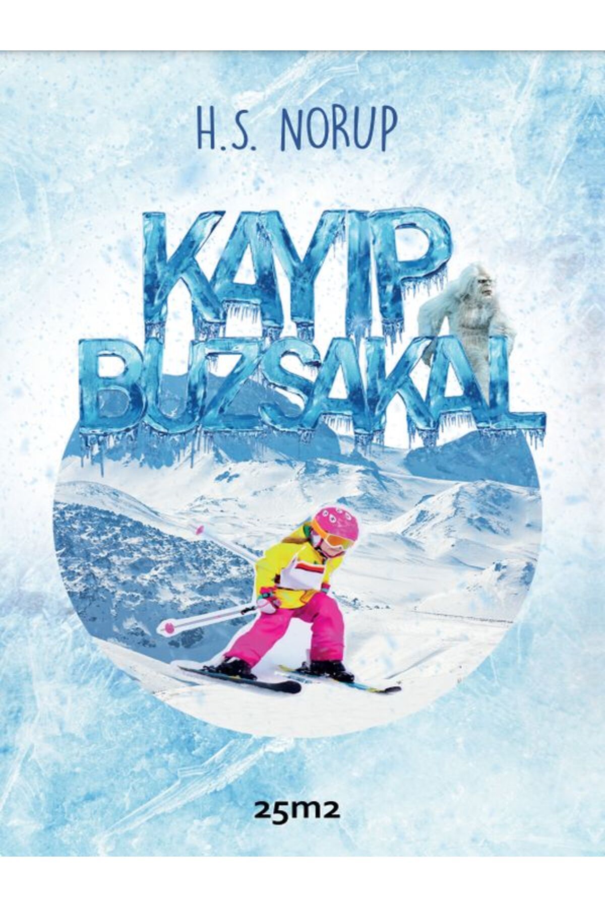 25m2 Kitap Kayıp Buzsakal / H.S. Norup
