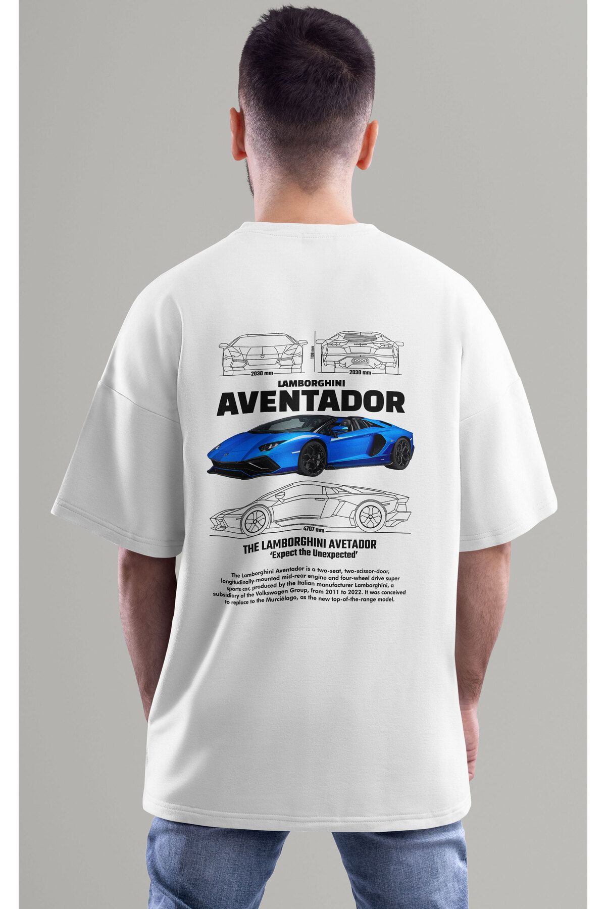 ELFAMİ Unisex Erkek/Kadın AVENTADOR Renkli Özel Baskılı Oversize Pamuklu Bisiklet Yaka T-Shirt Tişört