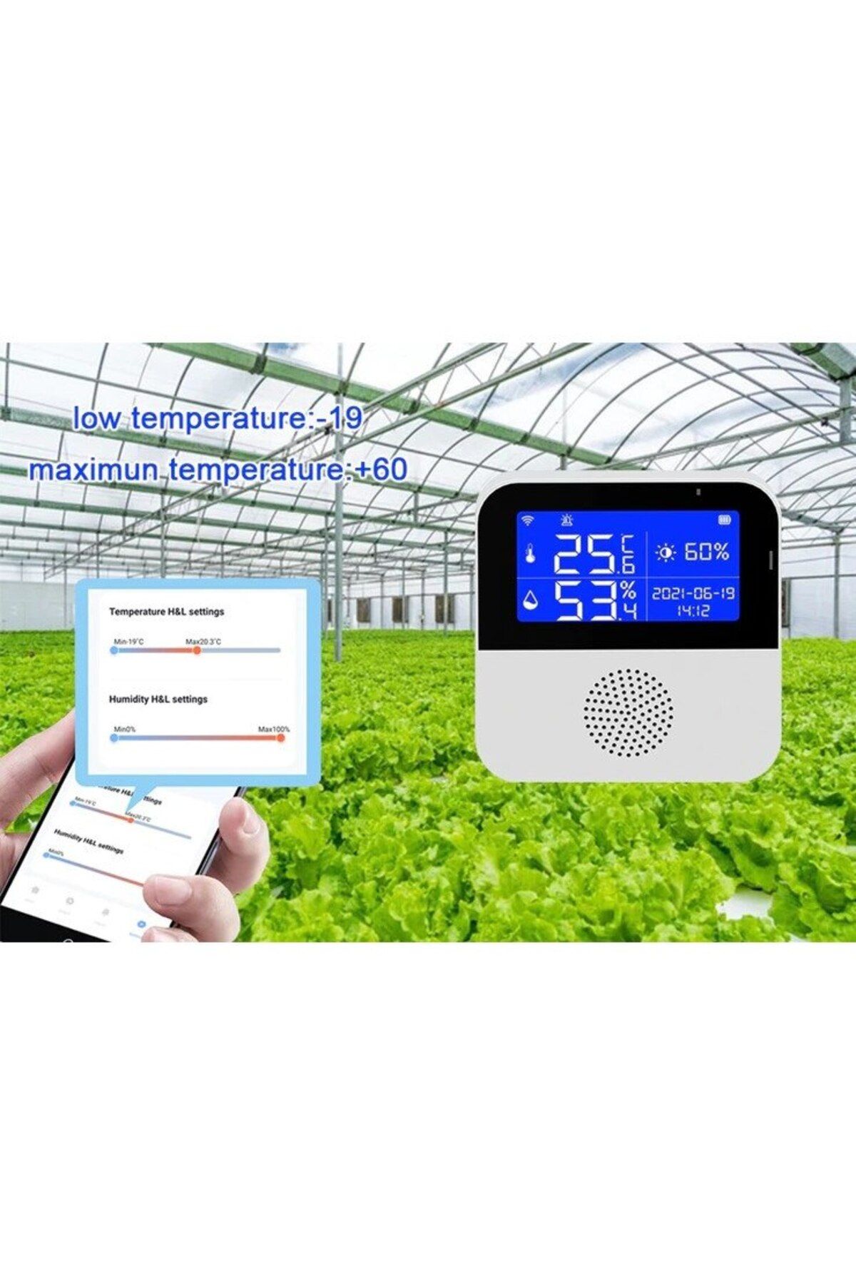 divendi-ro-Smart Thermostat WiFi, Temperature and Humidity, LCD Display, Tuya Smart/Smart Life App - White 10