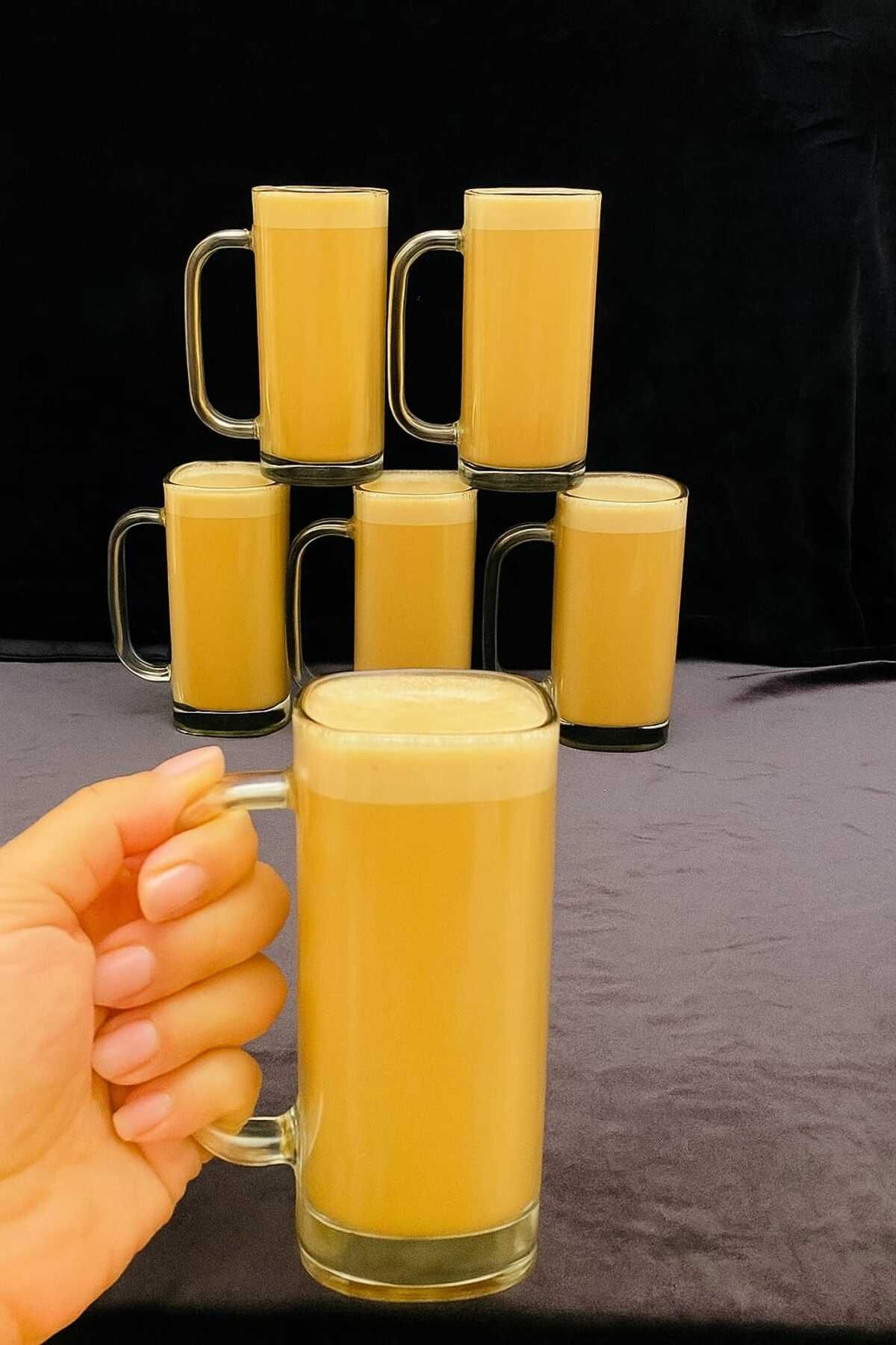 STİLO HOME 6'LI KULPLU CAM SOĞUK KAHVE BARDAĞI ARABİKA SERİ
