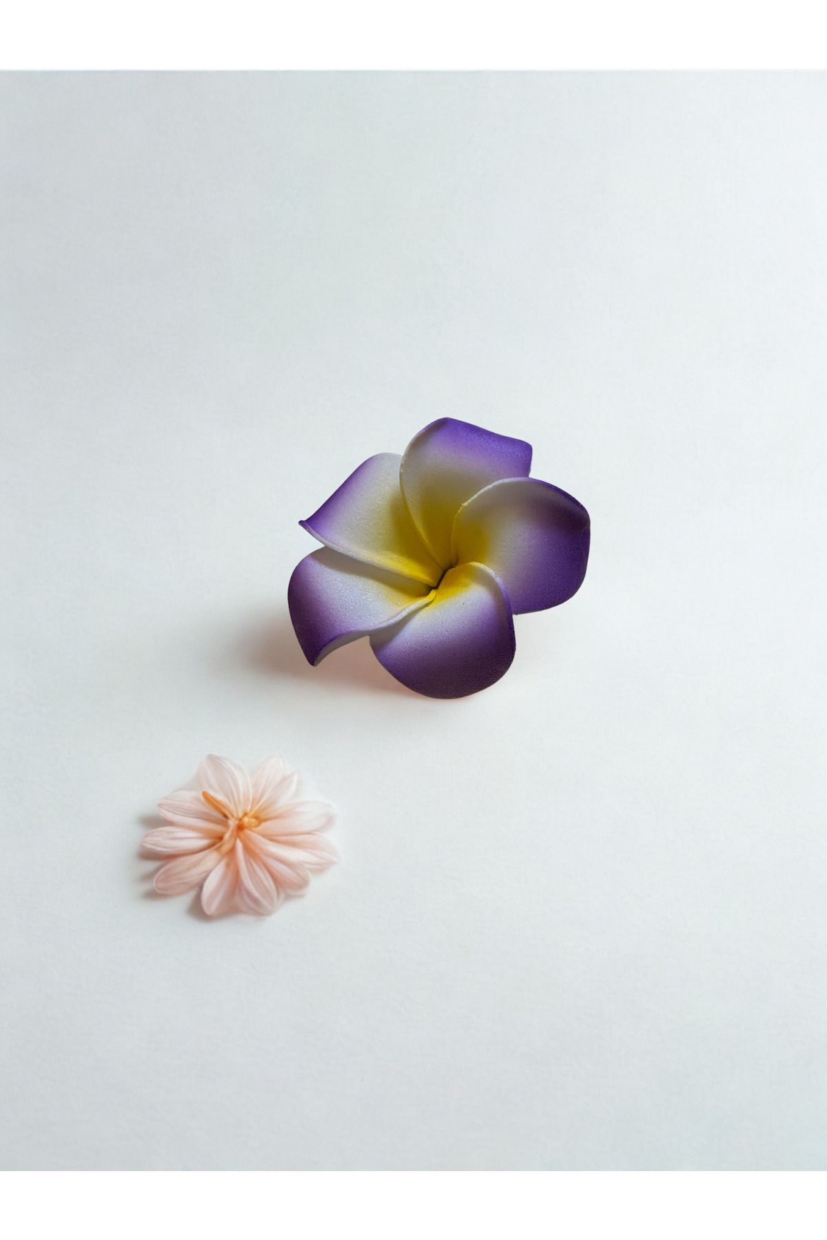 Plantarrium Design Hawaii Plumeria Çiçeği Kıstırmalı Köpük Toka 5,5cm