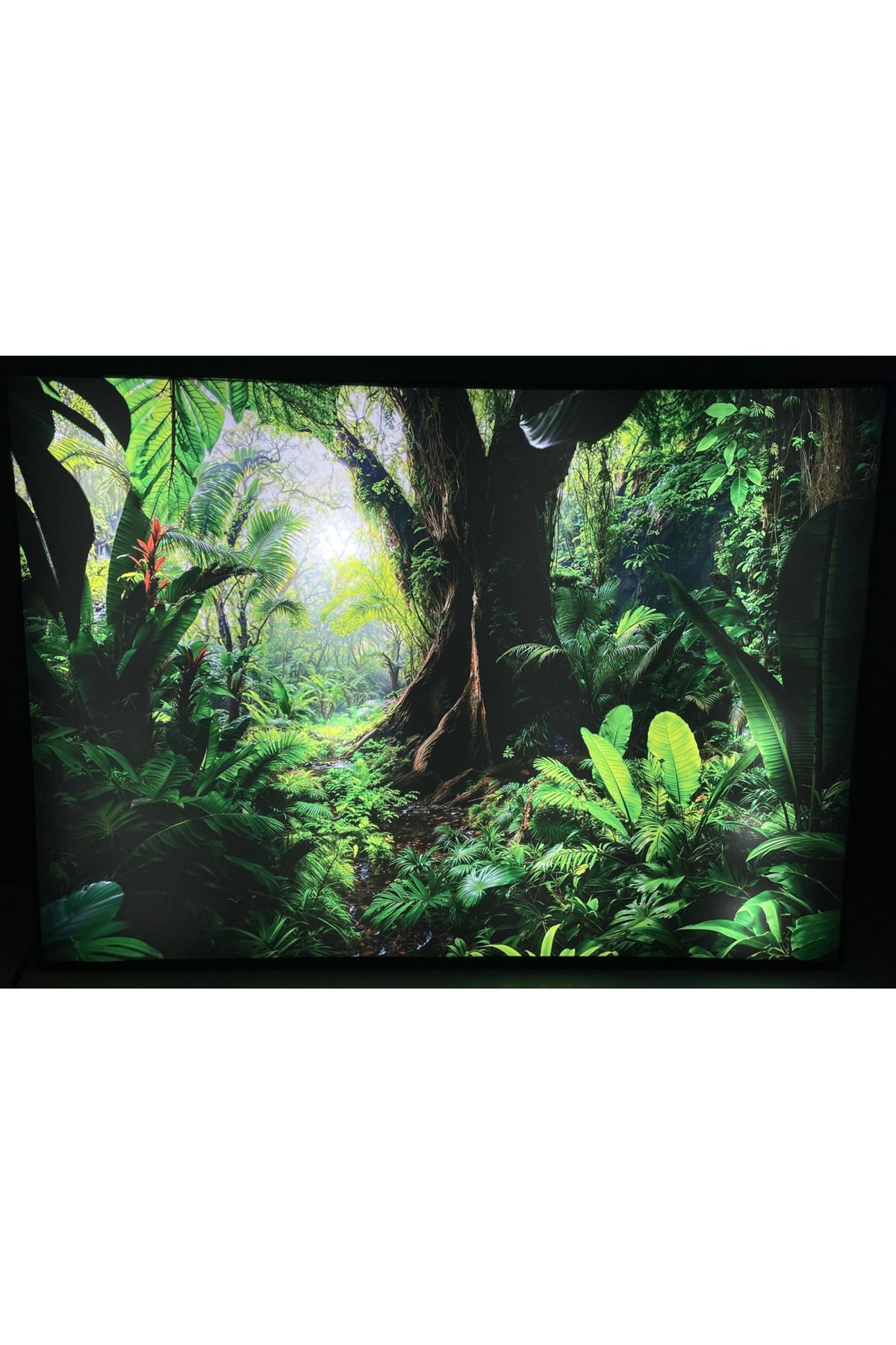 Lena Reklam Amazon Ormanı Temalı Işıklı Tablo – 70x50 cm – HD Kalite LED Aydınlatmalı