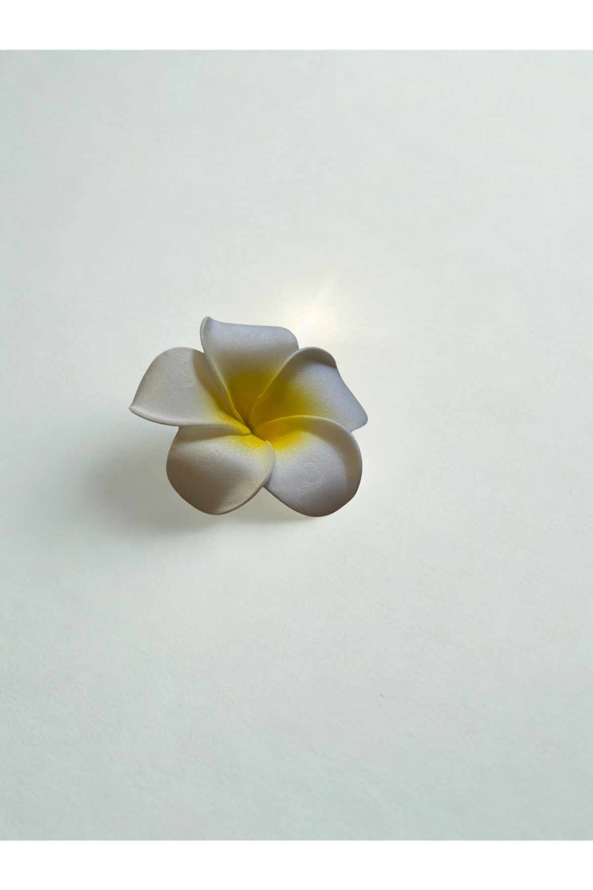 Plantarrium Design Hawaii Plumeria Çiçeği Kıstırmalı Köpük Toka 5,5cm