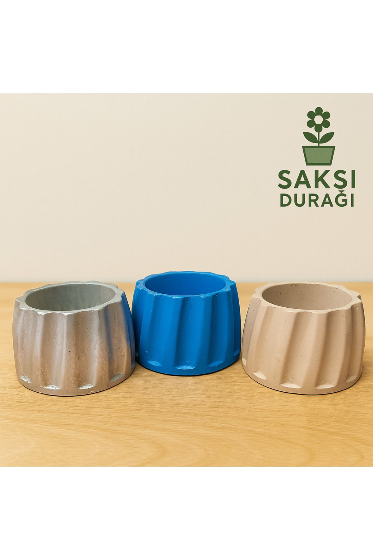 Home 3 Adet Dekoratif Beton Kaktüs&Sukulent Saksısı