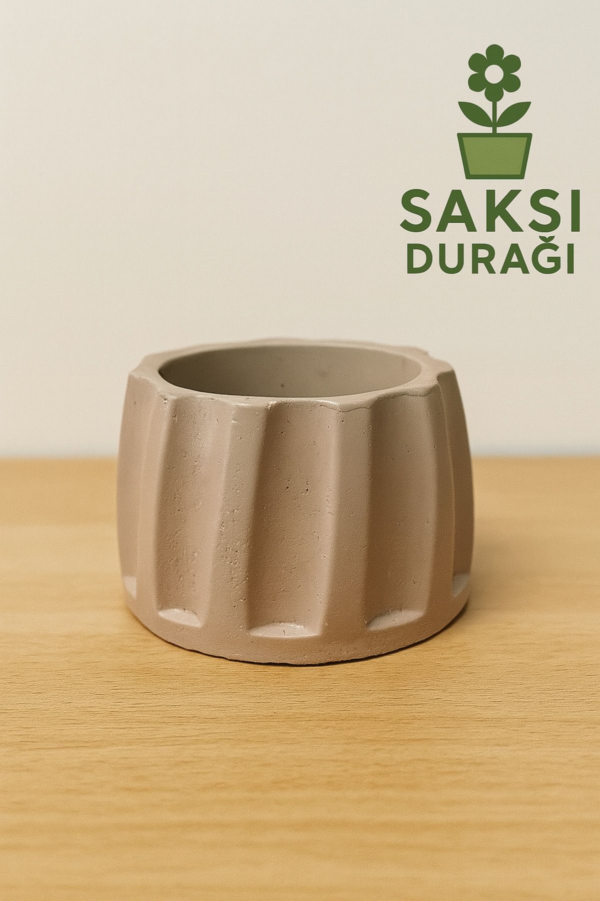 Home Dekoratif Beton Kaktüs&Sukulent Saksısı