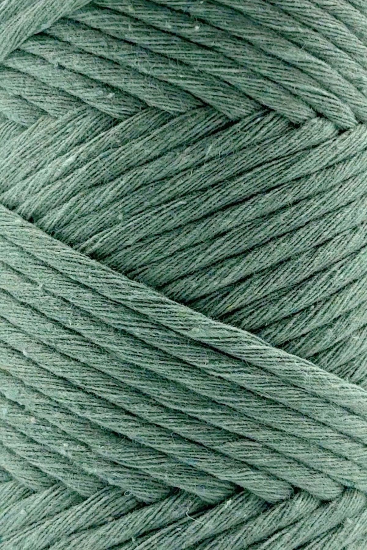 SENSY-Macrame Twine 3mm Macrame Cotton Twine Macrame Twine Island Tea 2