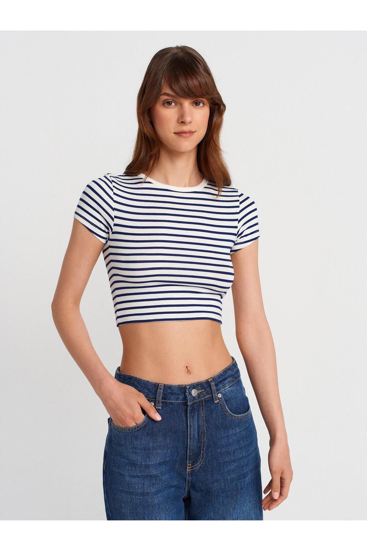 Coral Cizgili Crop Top Ekru - Lacivert