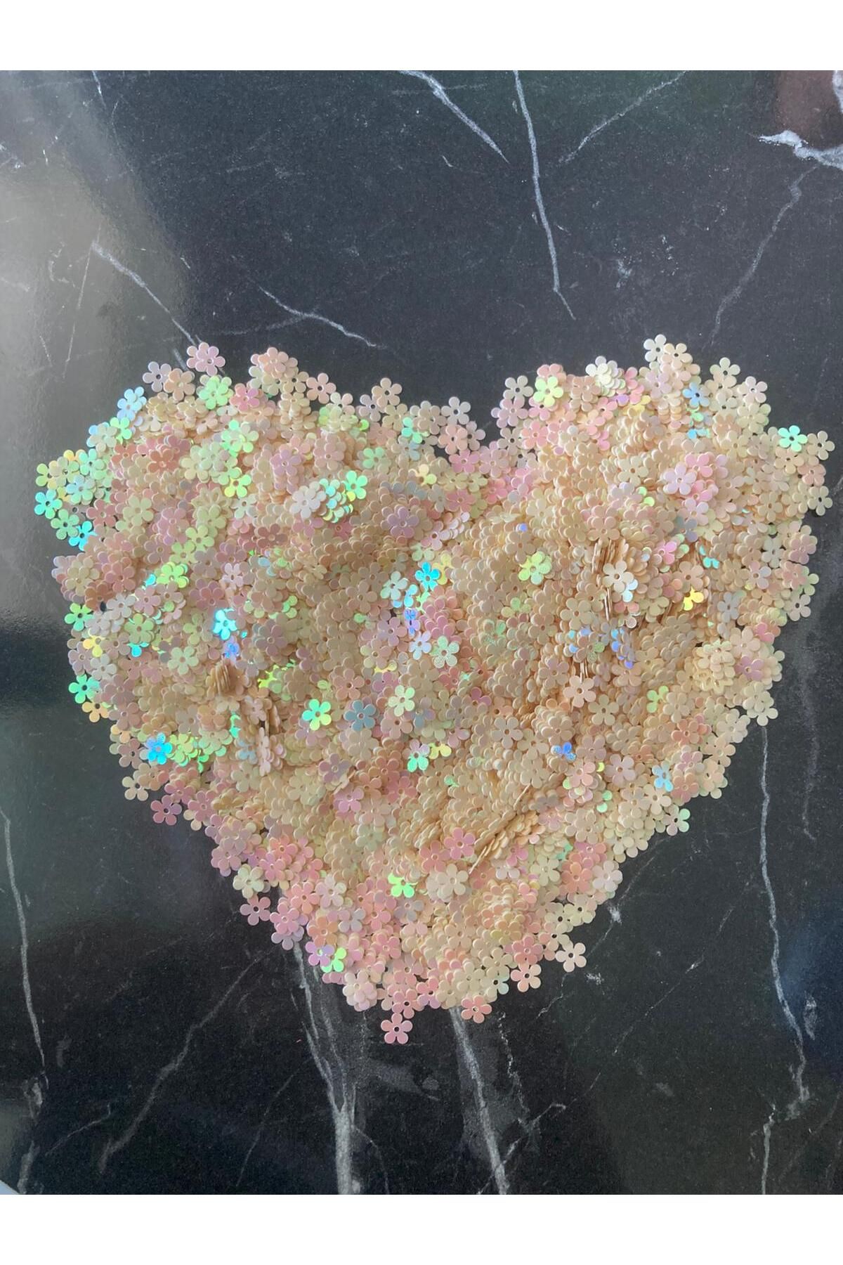 ramkovska Küçük Çiçek Pul pudra hologram yansıma 0,7 mm 50 gr