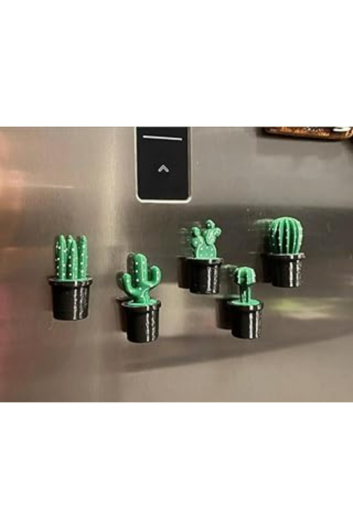 Qedii Buzdolabı Kaktüs Magnet Seti