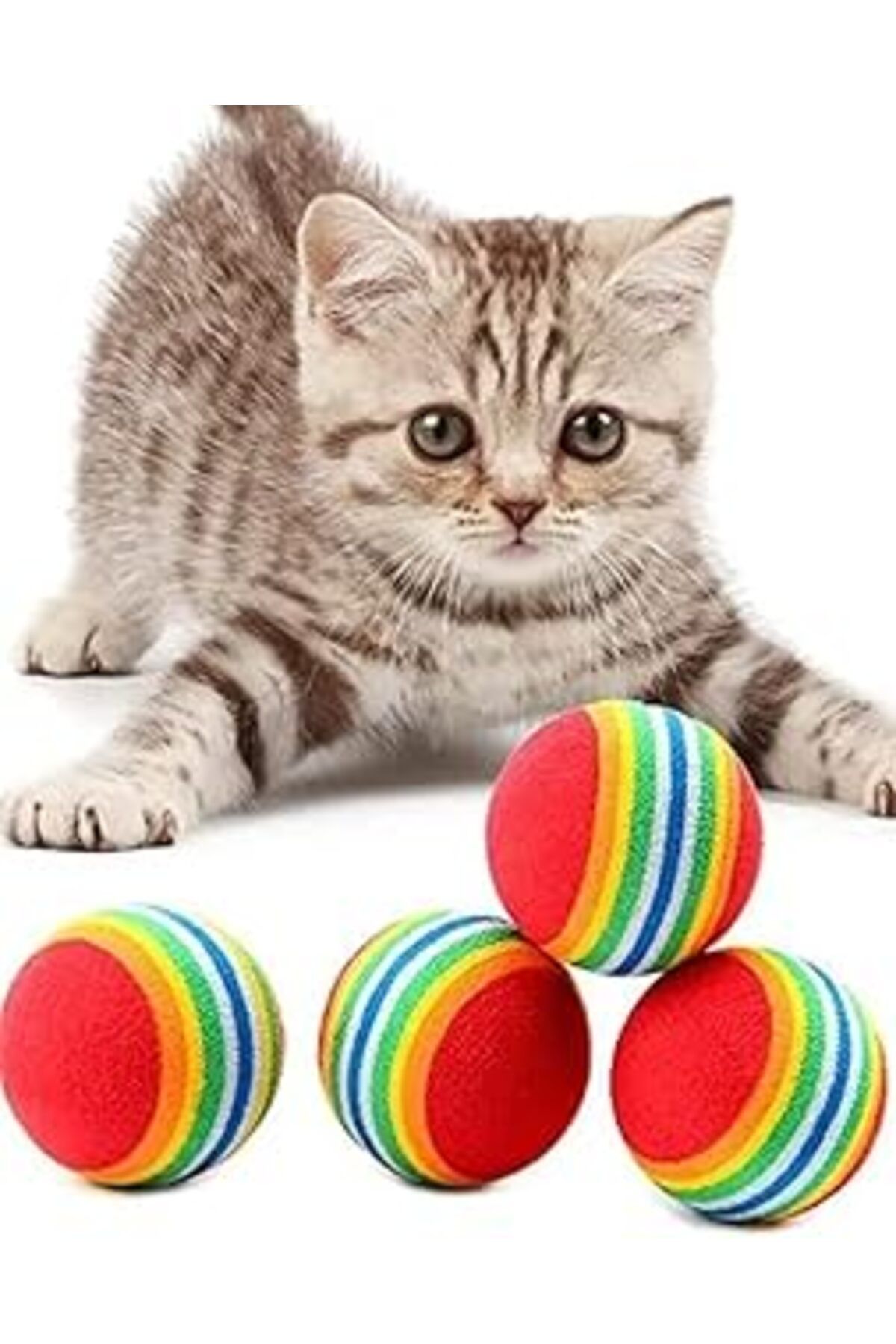 ASİTAN Buğtuğ Home 4 Adet Gökkuşağı Sünger Kedi Köpek Çiğneme Topu