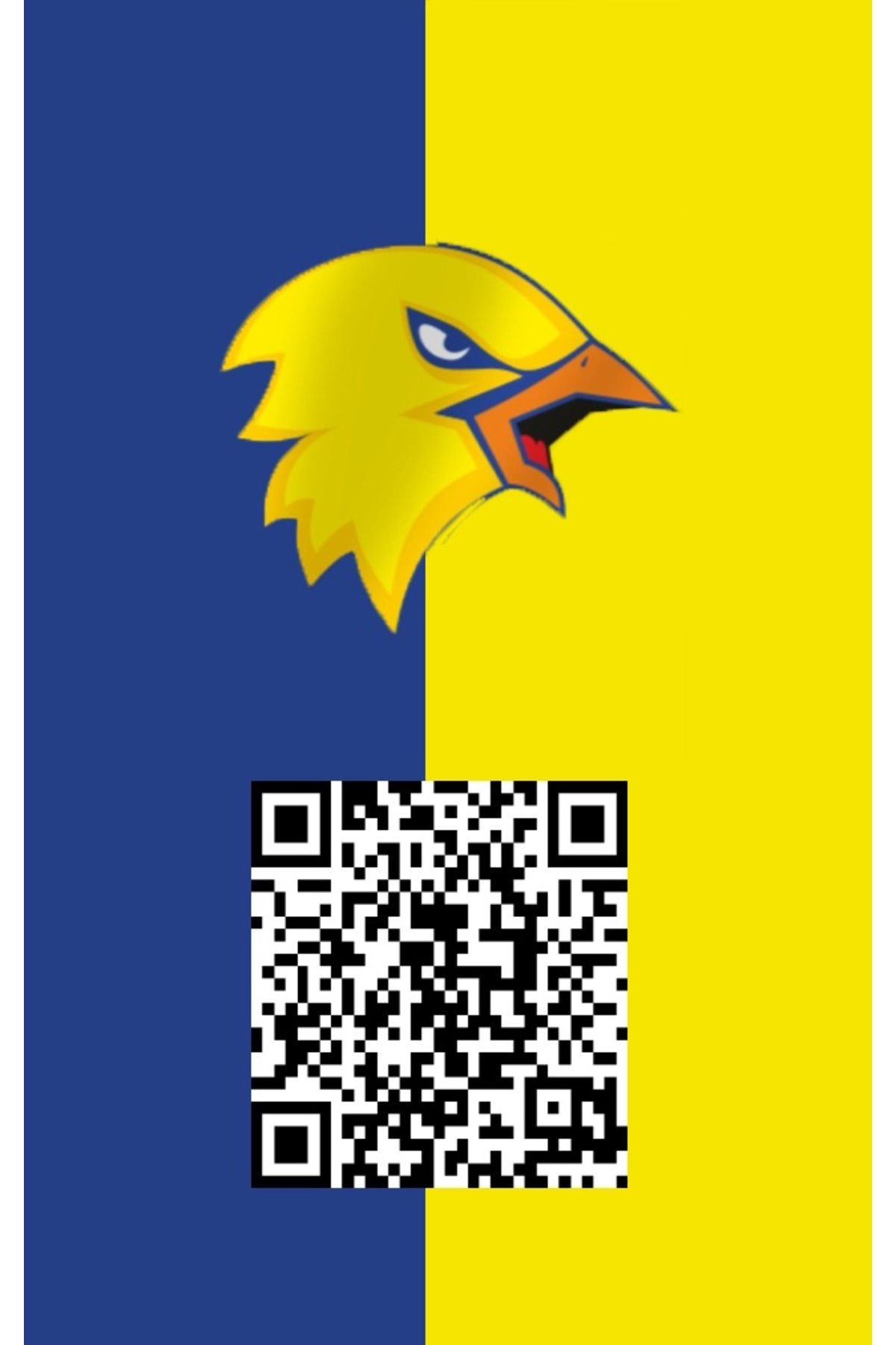 DEMSOFT Bavul Etiketi Qr Kodlu Fenerbahçe