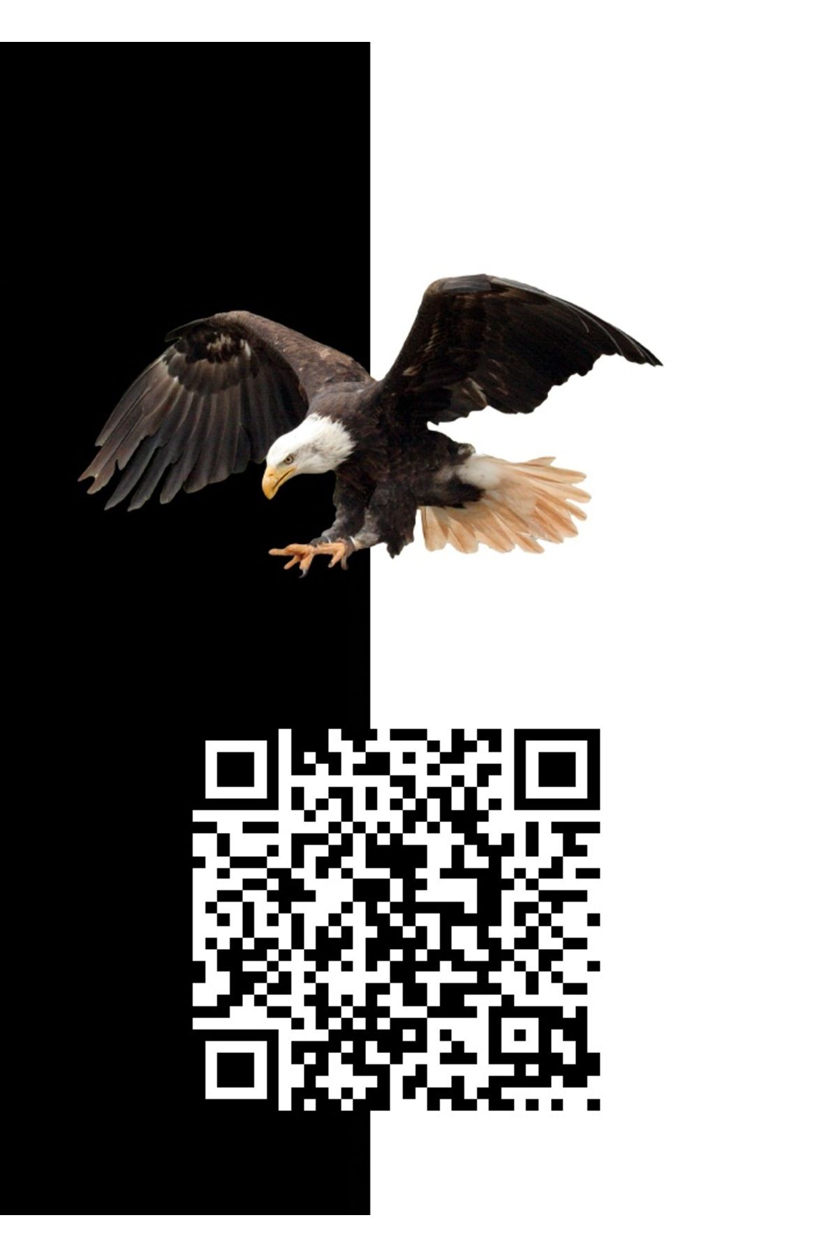 DEMSOFT Bavul Etiketi Qr Kodlu Beşiktaş