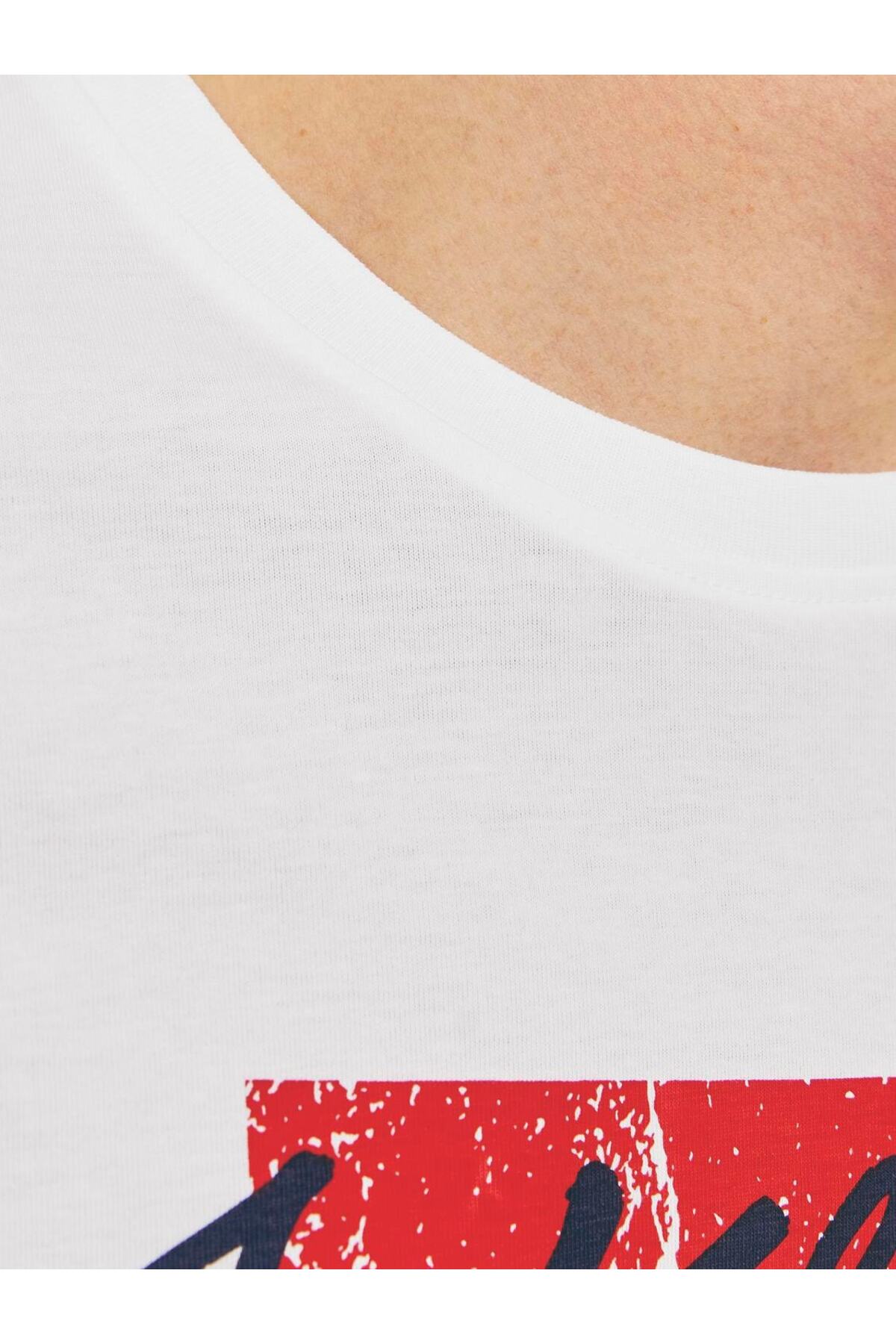تیشرت مردانه طرح دار آستین کوتاه | جک اند جونز Jack & Jones 12256774 - تصویر 4