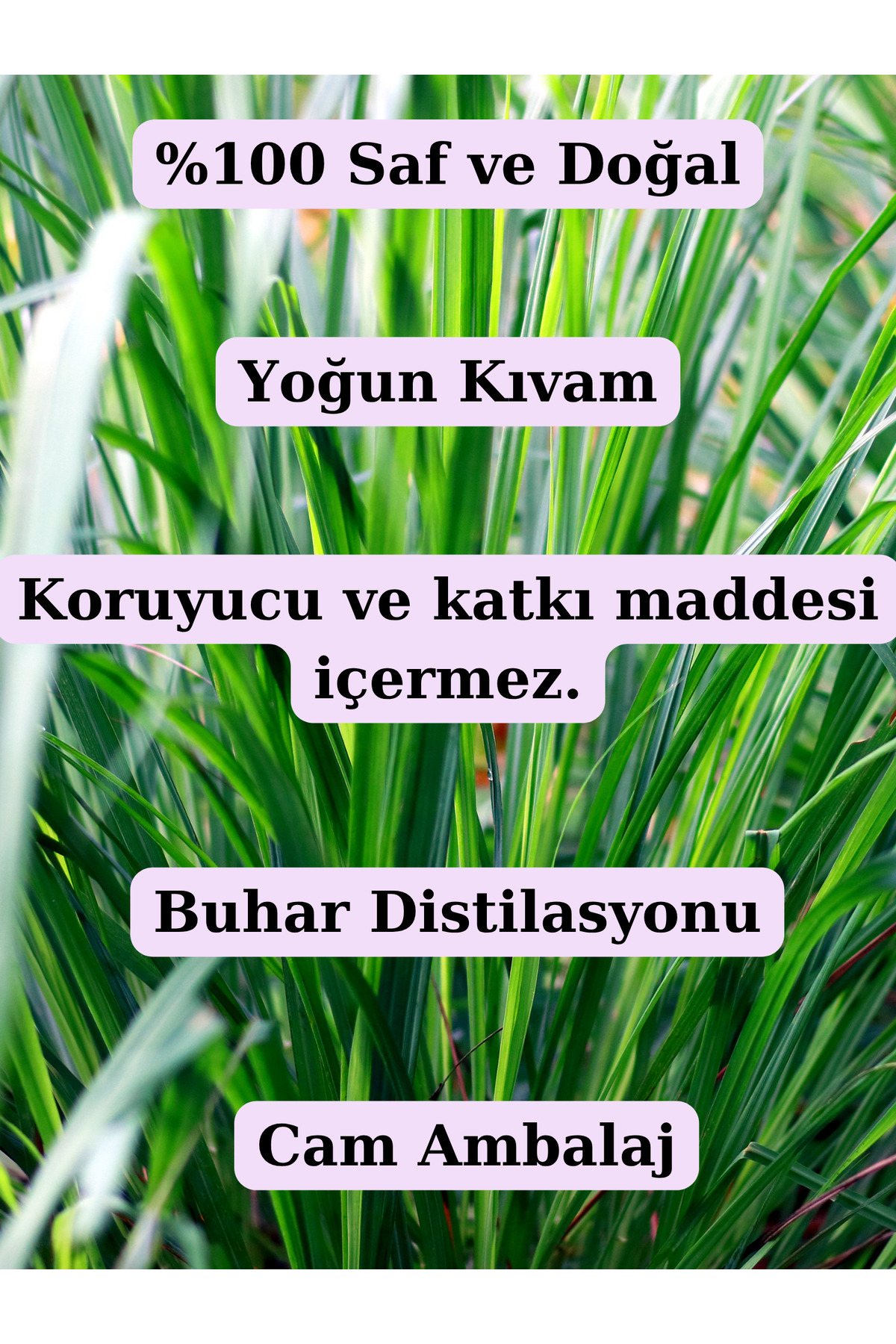 %100 Saf Limon Otu Uçucu Yağı - (10 ML) — limonotuyag10ml — تصویر 7 از 9