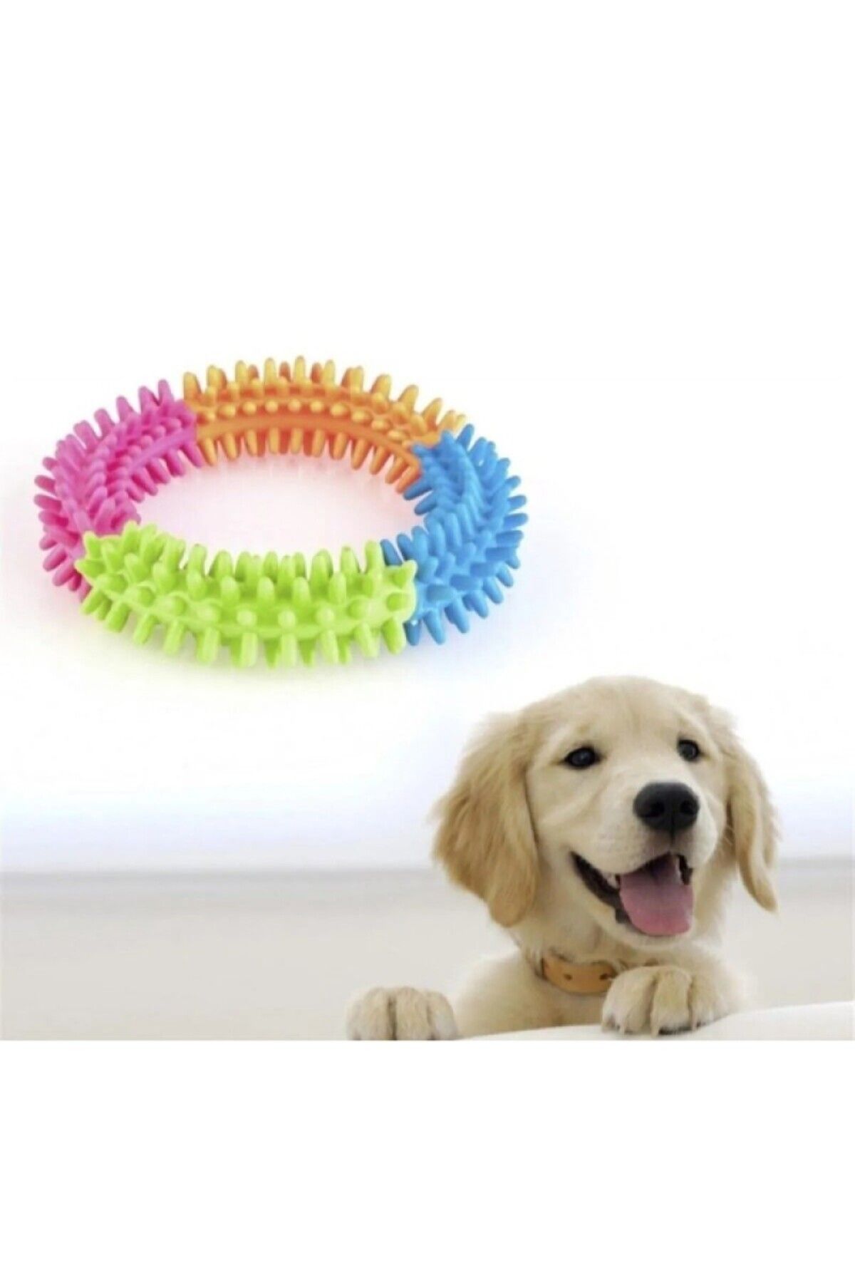 petürkiye Köpek Isırma Diş Kaşıma Çemberi