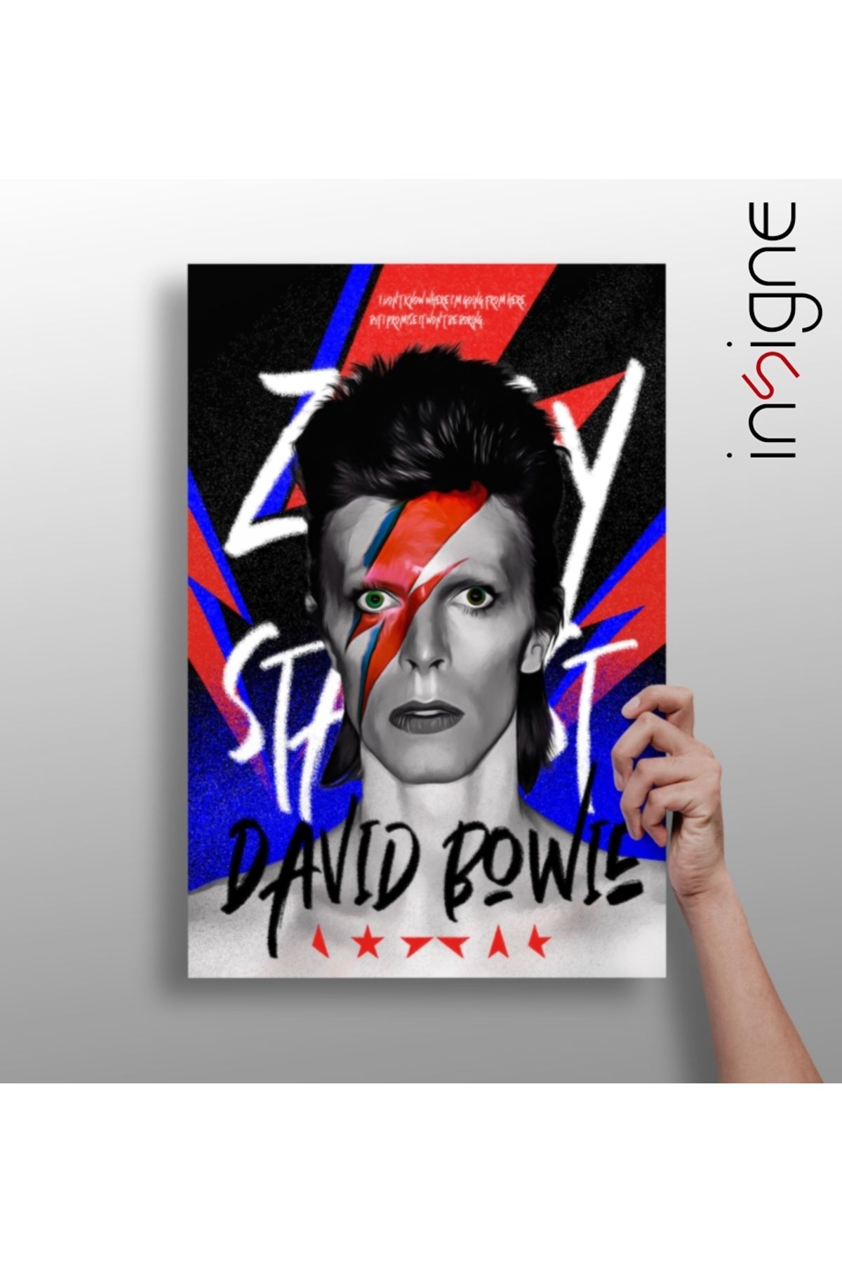 Insigne David Bowie Alüminyum Tablo