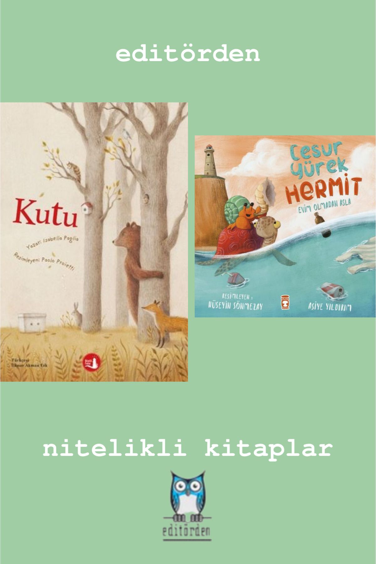 Bilge Kuş Yayınları Kutu - Cesur Yürek Hermit / Asiye Yıldırım