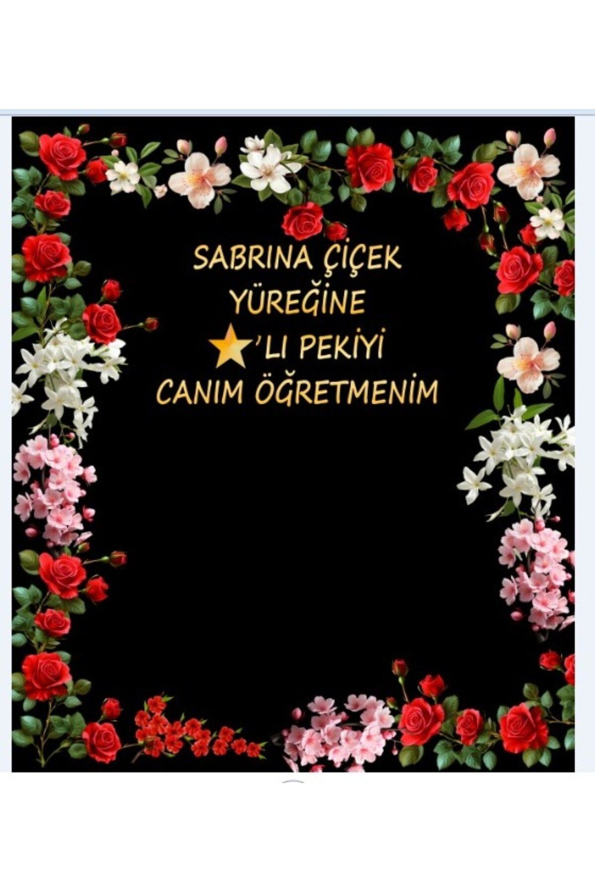 PROMISEBACKDROP2 24 KASIM, ÖĞRETMENLER GÜNÜ HATIRASI, YILDIZ, OKUL ETKİNLİK, TATİL, PANO
