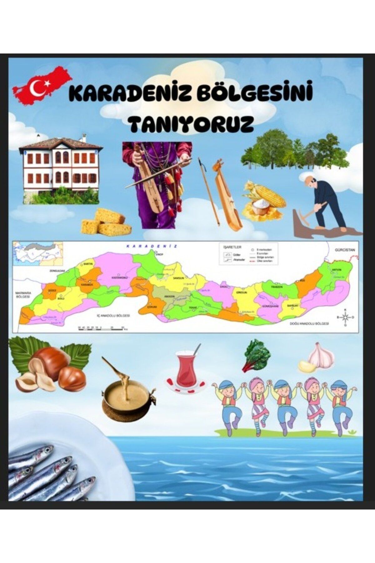 PROMISEBACKDROP2 KARADENİZ BÖLGESİNİ TANIYALIM, Fotoğraf Çekim Arka Fon, Renkli ve Neşeli Tasarım