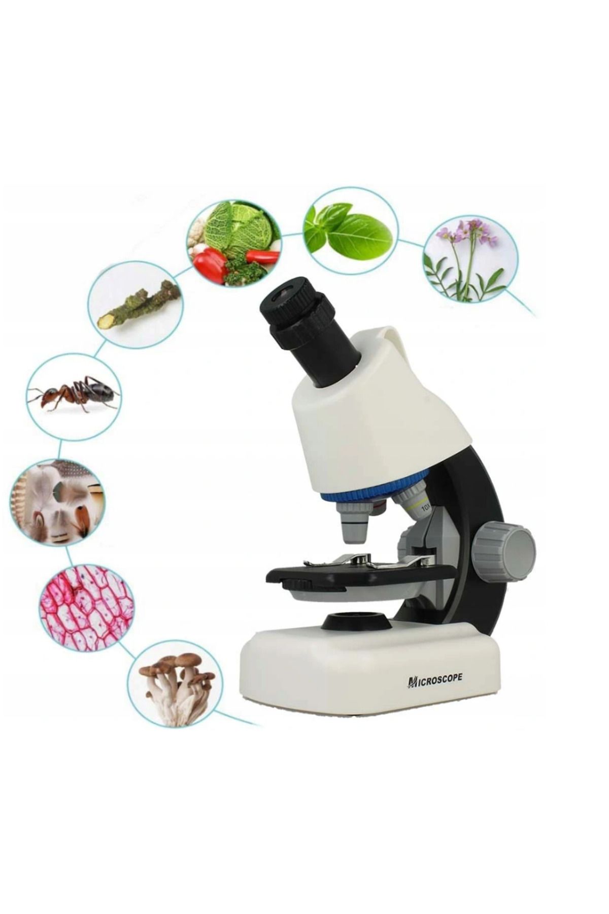 ideal STORE-Multifunctional Scientific Microscope I"Micro idealSTORE, Dimensions 22 x 10 x 16 cm, Adjustable LED Lamp 3