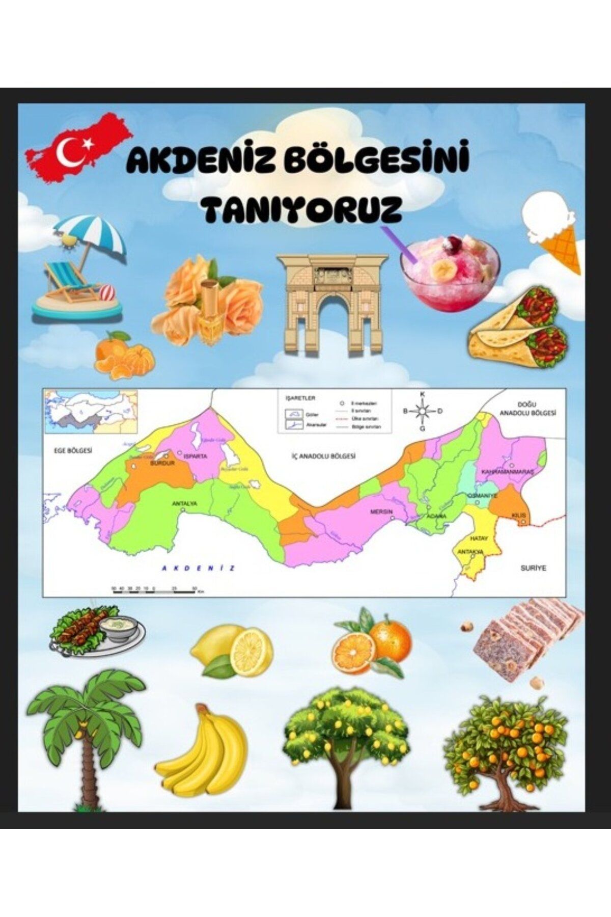 PROMISEBACKDROP2 AKDENİZ BÖLGESİ, Fotoğraf Çekim Arka Fon, Renkli ve Neşeli Tasarım