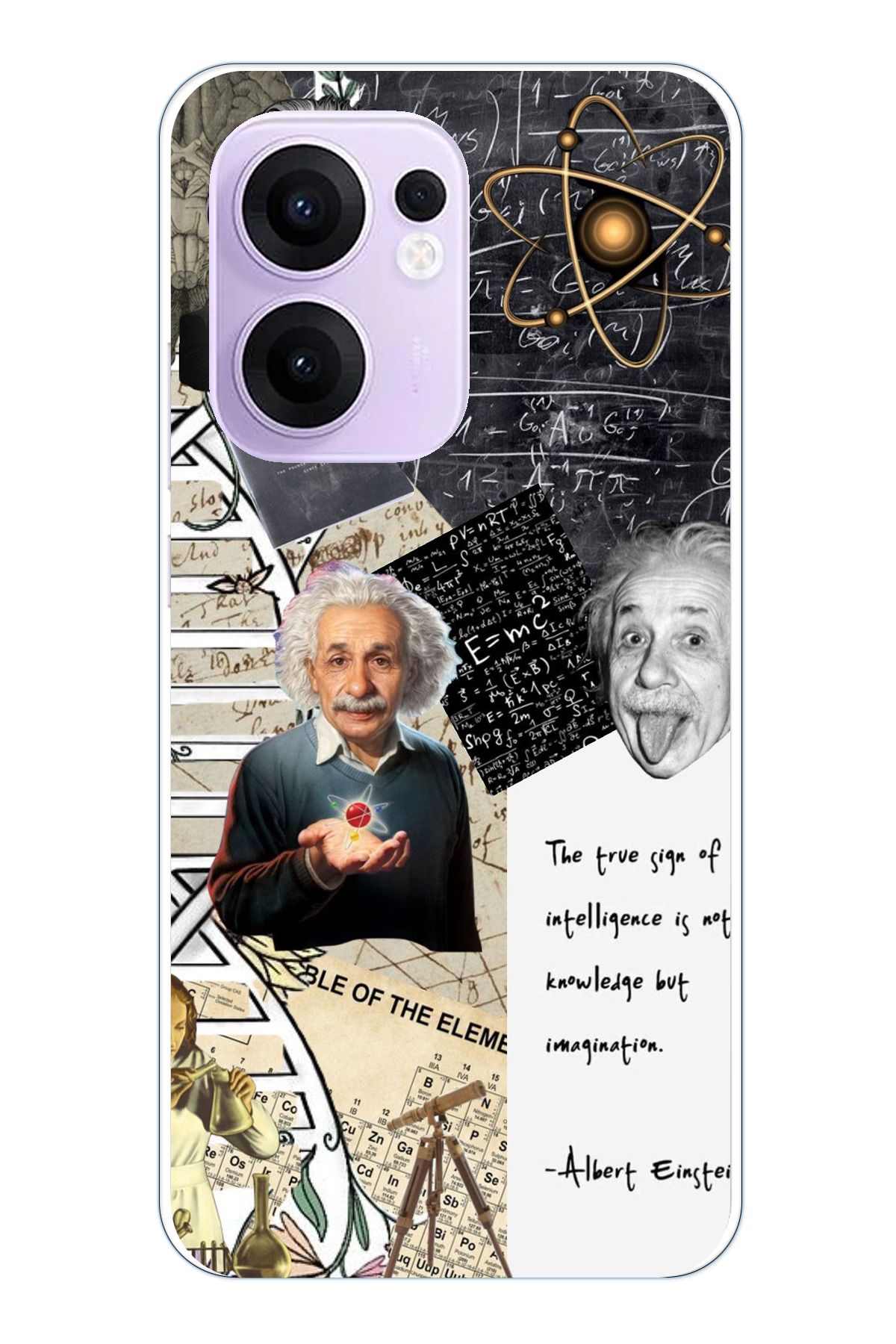 TechTree OPPO Reno 13F Uyumlu Albert Einstein Şeffaf Silikon Kılıf