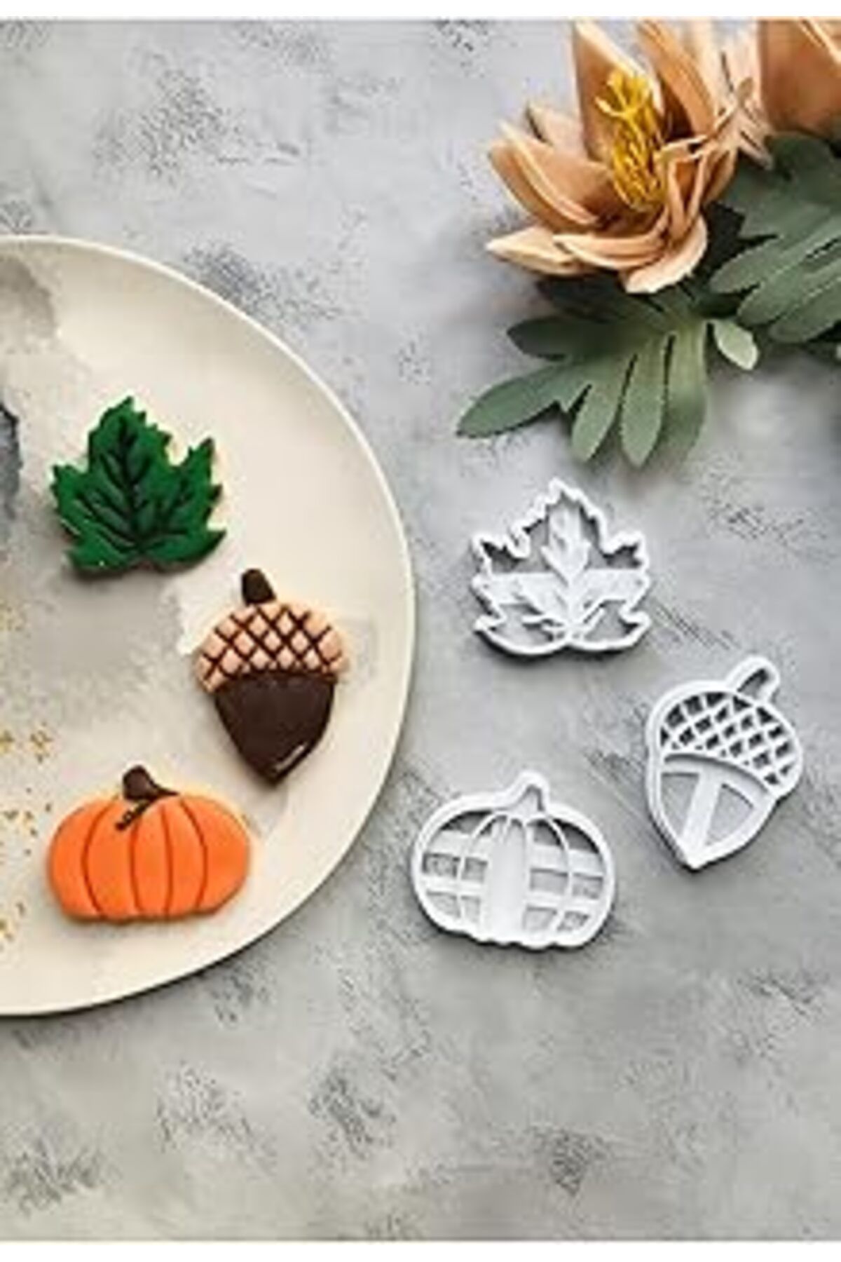 Mu Art Ahşap Cestopieno Makinada Yıkanabilir Şeffaf - Yaprak, Meşe, Kabak - 3'Lü Set Hamur Şekillendirici - Yeni