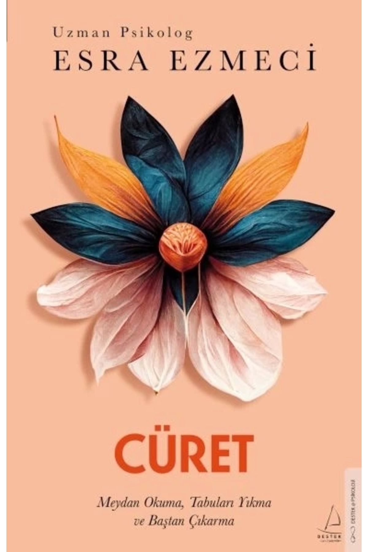 Destek Yayınları Cüret