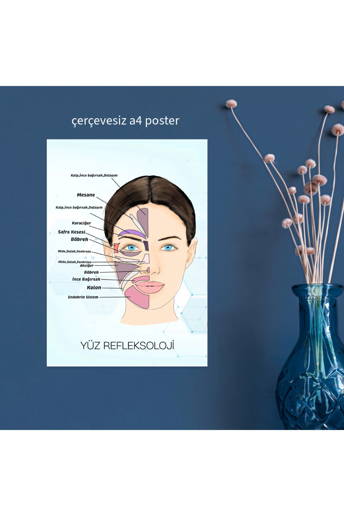 Fatofotofan Akupuntur Yüz Refleksoloji Haritası A4 Çerçevesiz Poster