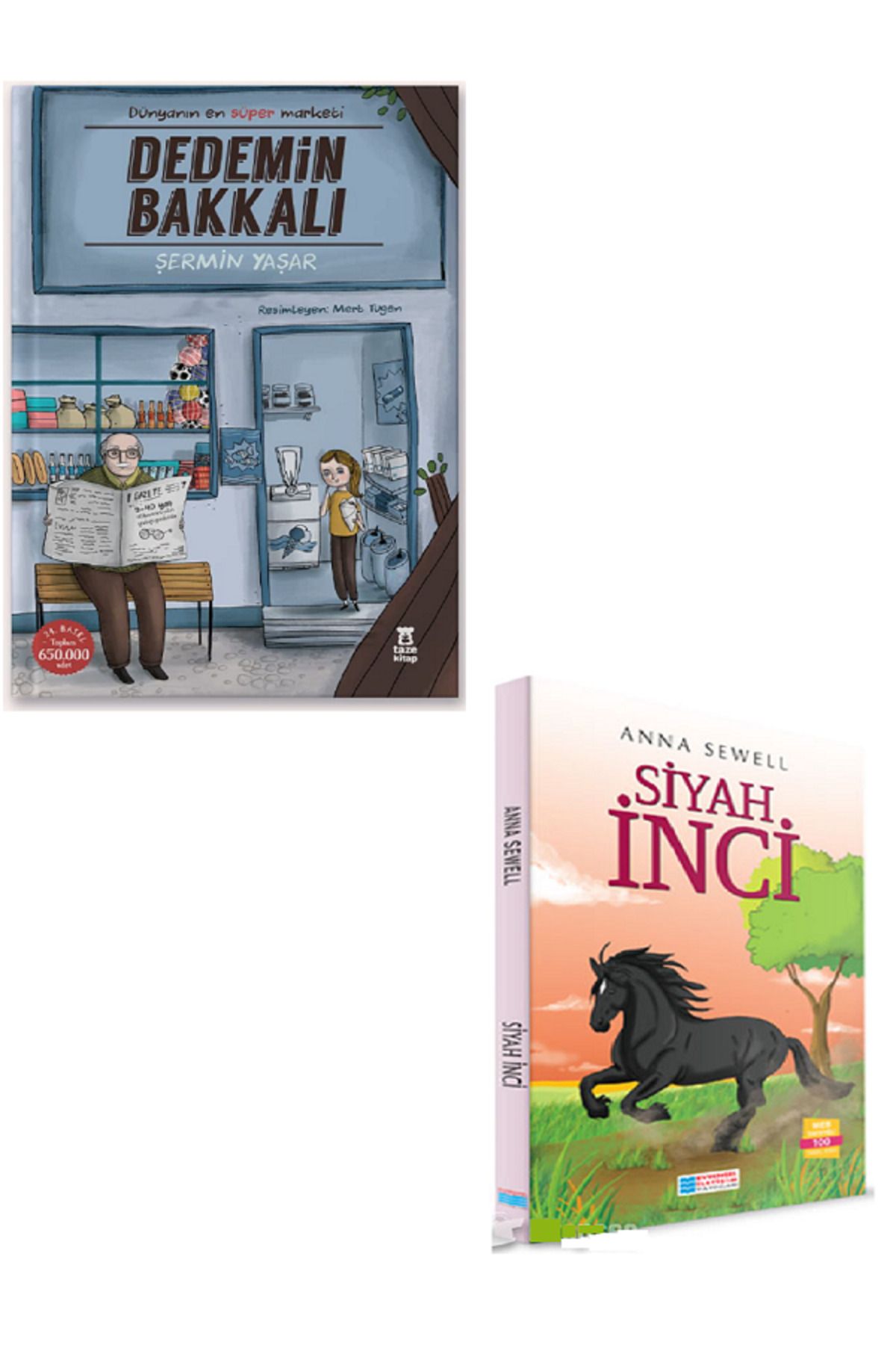 Taze Kitap Dedemin Bakkalı + Siyah İnci 100 Temel Eser / 2 KİTAP SET
