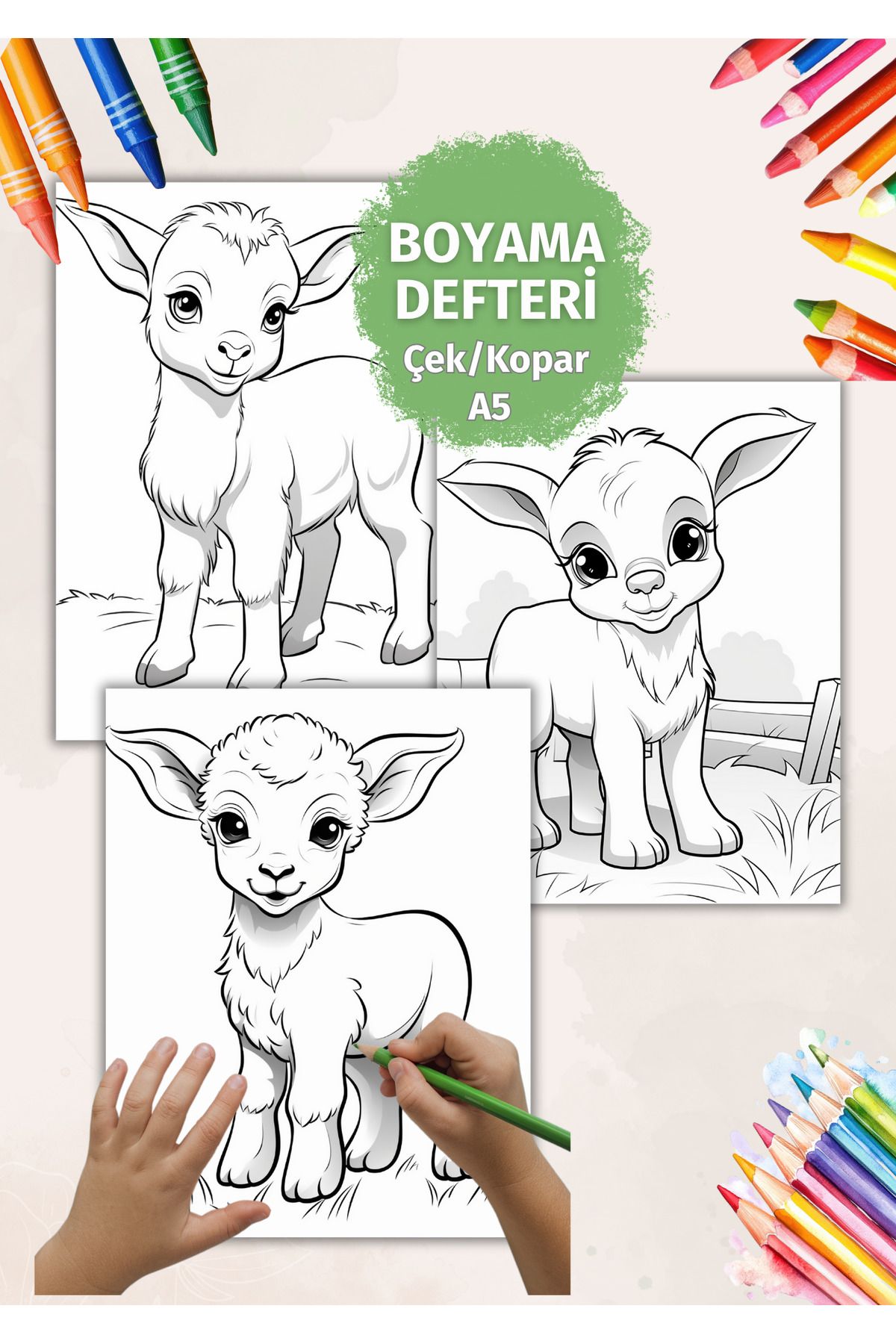 VORACRAFT Kuzu Çek/Kopar Boyama Kitabı Set BY0007