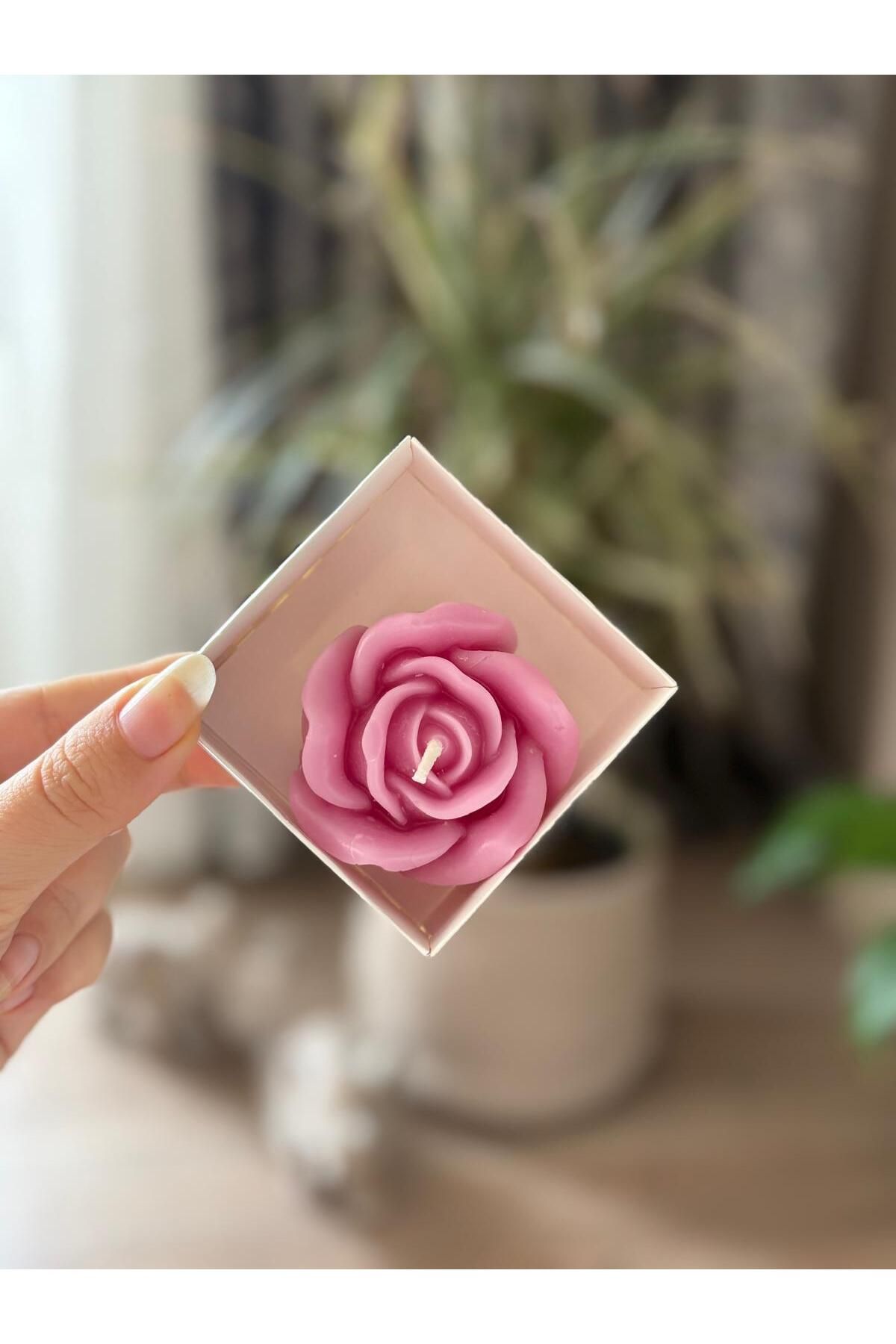 candlesmoon Dekoratif Kutulu Gül Mum