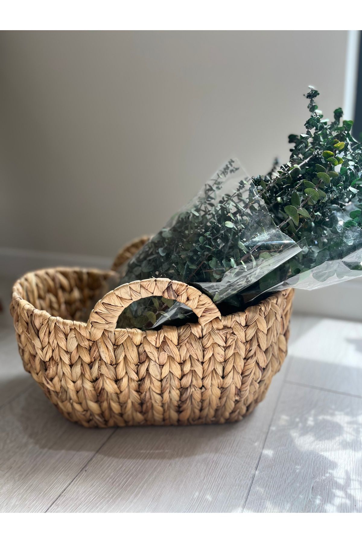 DECORİS HOME & ACCESSORIES Şoklanmış Okaliptüs