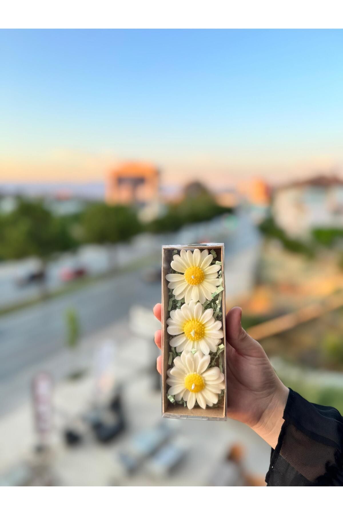 Home Papatya şekilli mum