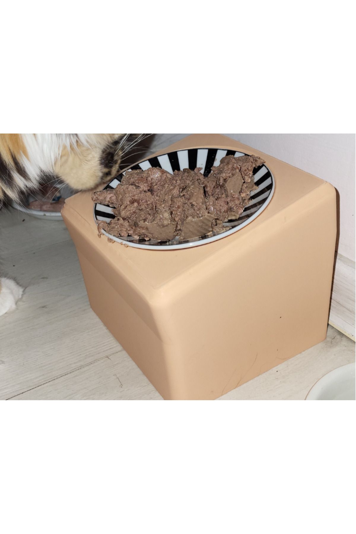 talaşoğlu Cat Pet Hayvan Yemeği Yükseltme Kasesi Yükseltme Yardımcı