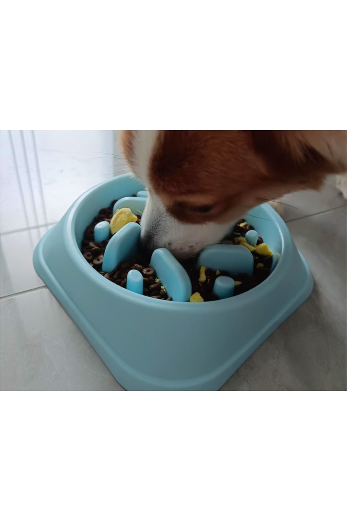 talaşoğlu Evcil hayvan malzemeleri köpek yavaş yemek kasesi