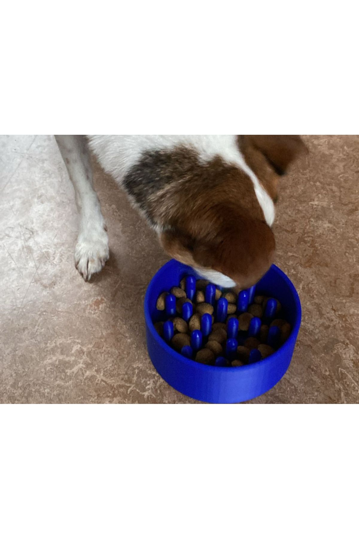 talaşoğlu Köpek veya kedi maması kase deliği