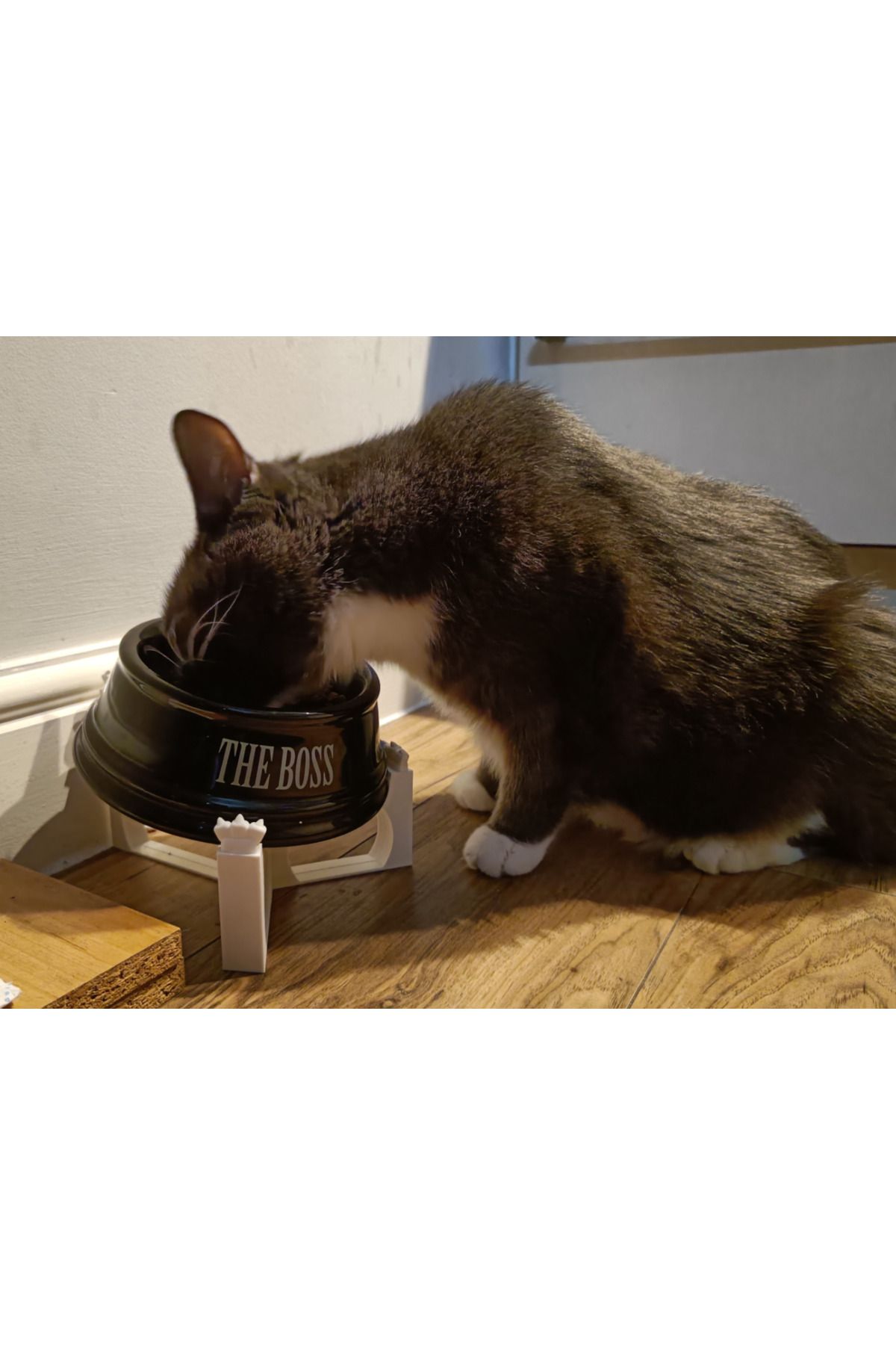 talaşoğlu Pet Bowl Raiser