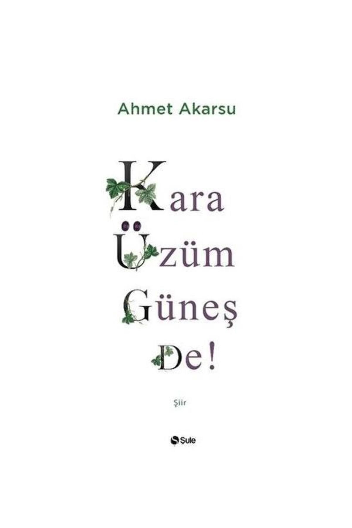 Şule Yayınları Kara Üzüm Güneş De
